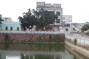 湛江城郊池塘旁的建筑景观