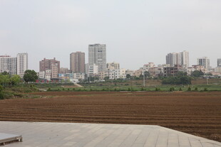 湛江城市边的农田景观