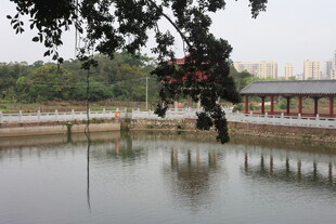 湛江湖畔亭廊 静谧水景风光
