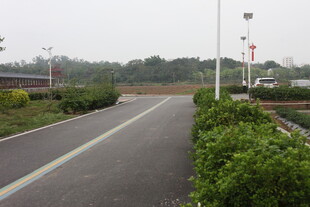 湛江郊外空旷的柏油道路