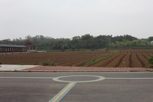 湛江农田旁的道路场景