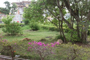 湛江春日花园美景