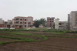 湛江城郊农田旁的错落建筑