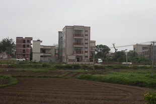 湛江城郊田园旁的多层建筑群