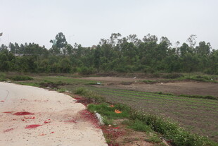 湛江田间道路边的红色痕迹