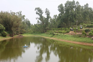 乡村河畔自然美景
