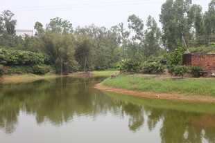湛江宁静乡村河畔风光