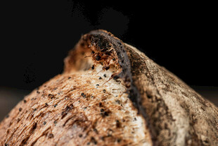 古老陶罐局部特写