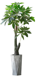 现代简约风格盆栽绿植