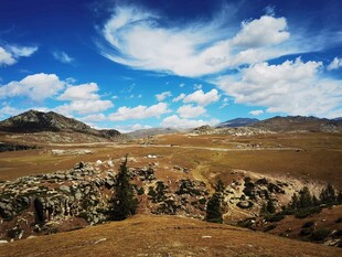 阿勒泰阿禾公路风光