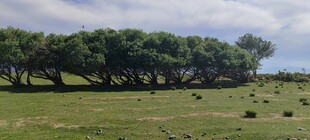 乌鲁木齐达坂草原