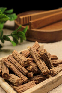 党参传统中药中医养生滋补高清