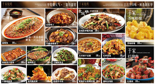 多样美味菜肴展示