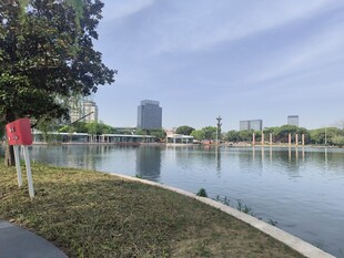 湖畔风光城市中的宁静景致