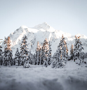 雪覆山林与巍峨雪山景观