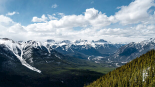 壮丽雪山森林美景