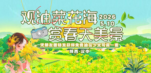 油菜花活动展板
