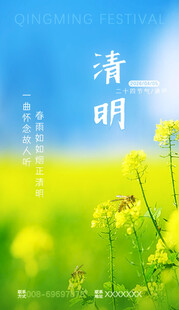 清明 黄花烂漫景色美