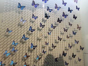 蝴蝶群聚墙面景观