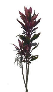 紫叶仿真植物花卉摆件