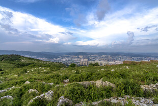 昆明山顶繁花间的城市远景