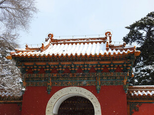 雪覆红墙古建筑之美