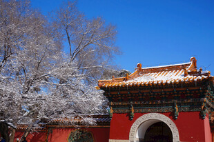 红墙古建映雪景