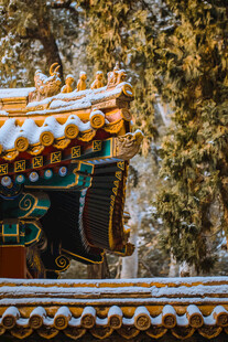 雪覆古建屋檐树木相伴