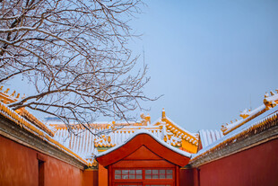 雪后故宫红墙古建筑美景