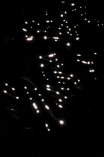 黑夜中闪烁的点点亮光