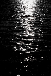 月光洒在波光粼粼的水面