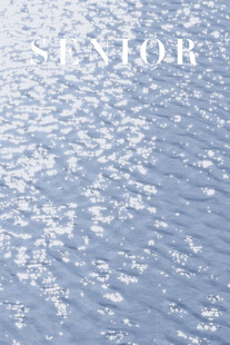 波光粼粼的水面