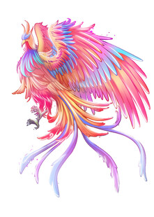 彩色梦幻凤凰插画