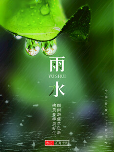 雨水海报