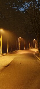 夜晚路灯下的静谧道路