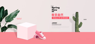简约风仙人掌与粉色物品展示