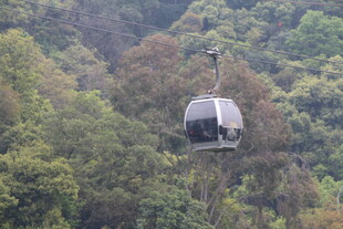 山林间的缆车穿梭景象