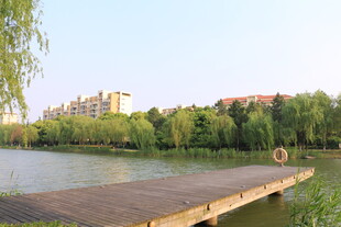 湖畔木栈道风景