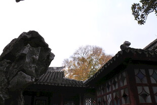 中式庭院与奇石景观