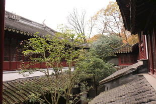 中式庭院景观一角