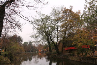 秋日河畔风景