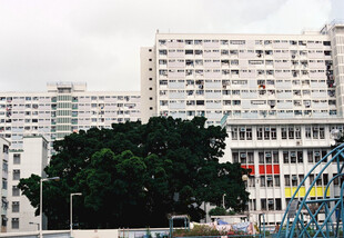 城市中林立的白色居民楼