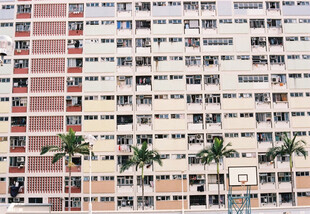 密集居民楼与棕榈树景观