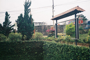 中式园林景观一角