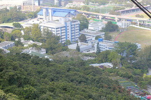 俯瞰城市建筑群与绿地