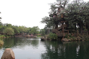 宁静湖畔的自然景致