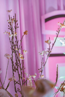 花瓶中绽放的素雅花枝