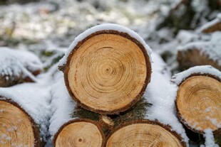 雪覆圆木冬日伐木景象电脑壁纸