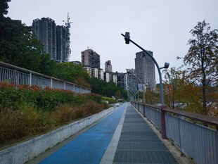 城市中的蓝色步道景观