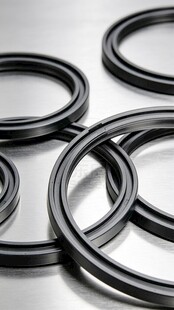 氟橡胶气封密封件